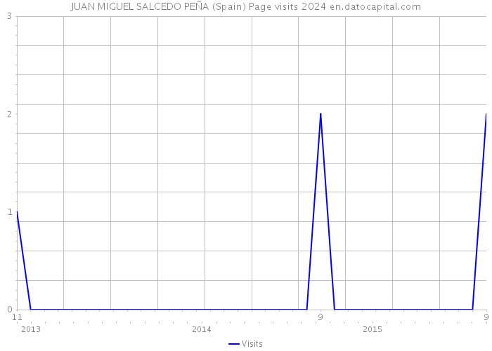 JUAN MIGUEL SALCEDO PEÑA (Spain) Page visits 2024 