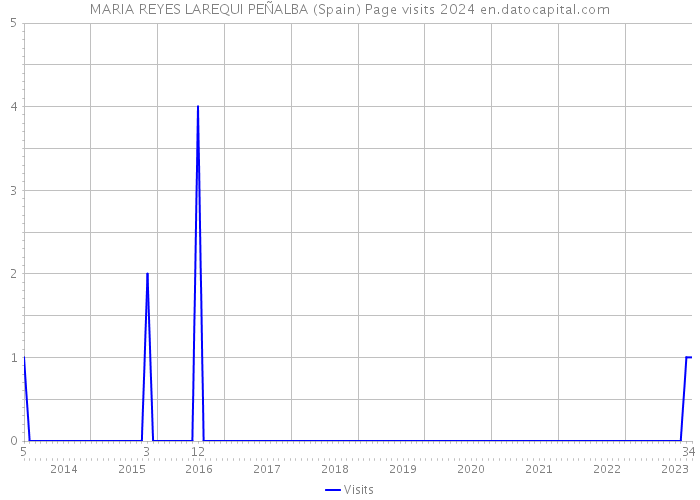 MARIA REYES LAREQUI PEÑALBA (Spain) Page visits 2024 