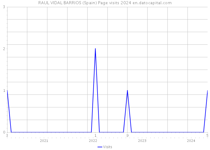 RAUL VIDAL BARRIOS (Spain) Page visits 2024 
