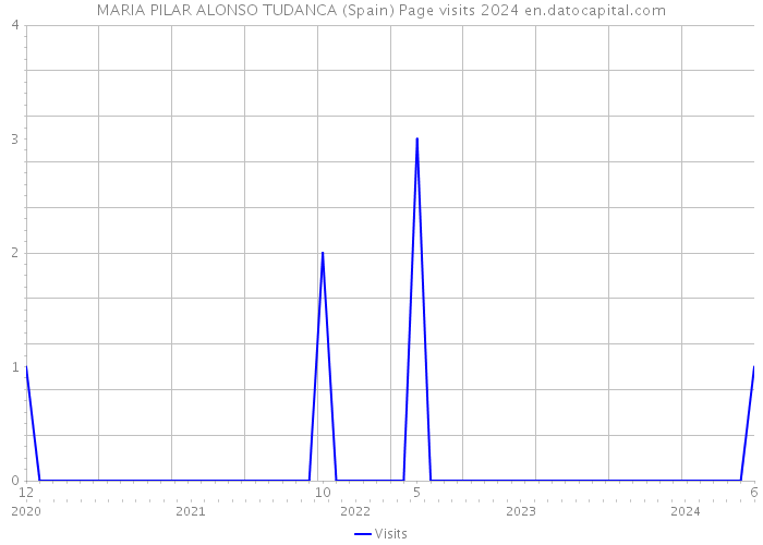 MARIA PILAR ALONSO TUDANCA (Spain) Page visits 2024 