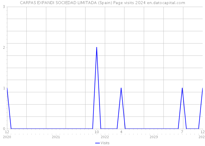 CARPAS EXPANDI SOCIEDAD LIMITADA (Spain) Page visits 2024 