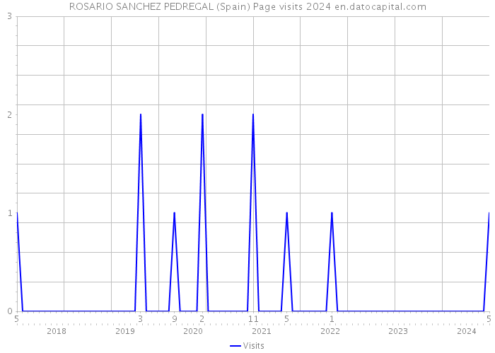 ROSARIO SANCHEZ PEDREGAL (Spain) Page visits 2024 