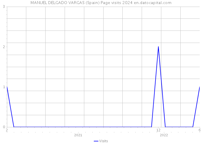 MANUEL DELGADO VARGAS (Spain) Page visits 2024 