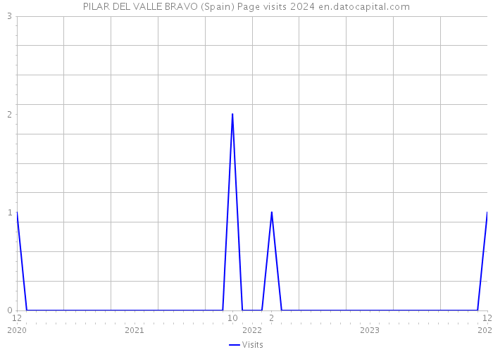 PILAR DEL VALLE BRAVO (Spain) Page visits 2024 