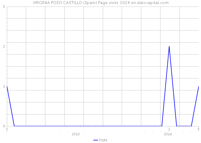 VIRGINIA POZO CASTILLO (Spain) Page visits 2024 