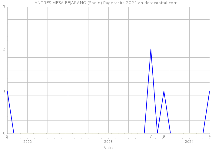 ANDRES MESA BEJARANO (Spain) Page visits 2024 