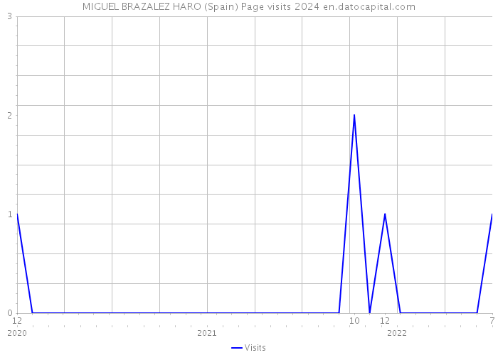MIGUEL BRAZALEZ HARO (Spain) Page visits 2024 
