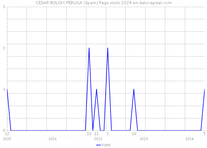 CESAR BOLOIX PERUGA (Spain) Page visits 2024 