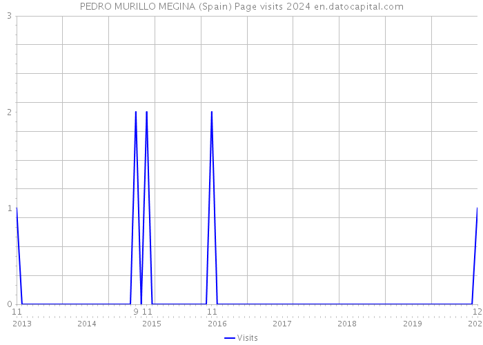 PEDRO MURILLO MEGINA (Spain) Page visits 2024 