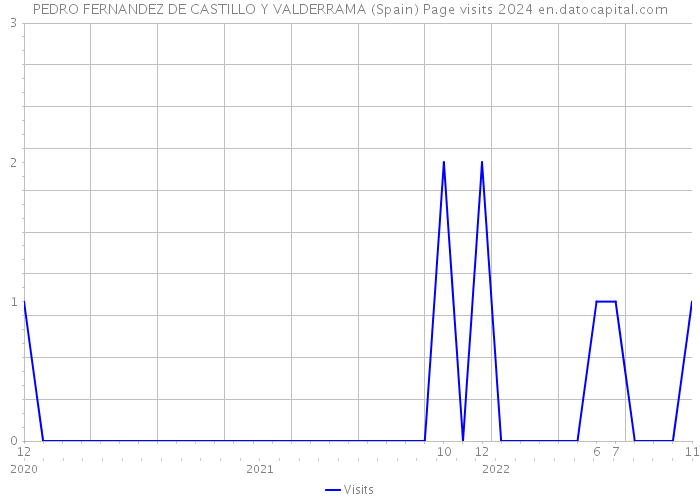 PEDRO FERNANDEZ DE CASTILLO Y VALDERRAMA (Spain) Page visits 2024 