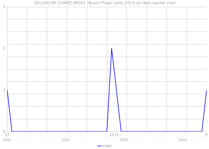 SALVADOR GOMEZ ARIAS (Spain) Page visits 2024 