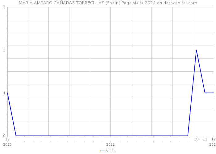 MARIA AMPARO CAÑADAS TORRECILLAS (Spain) Page visits 2024 