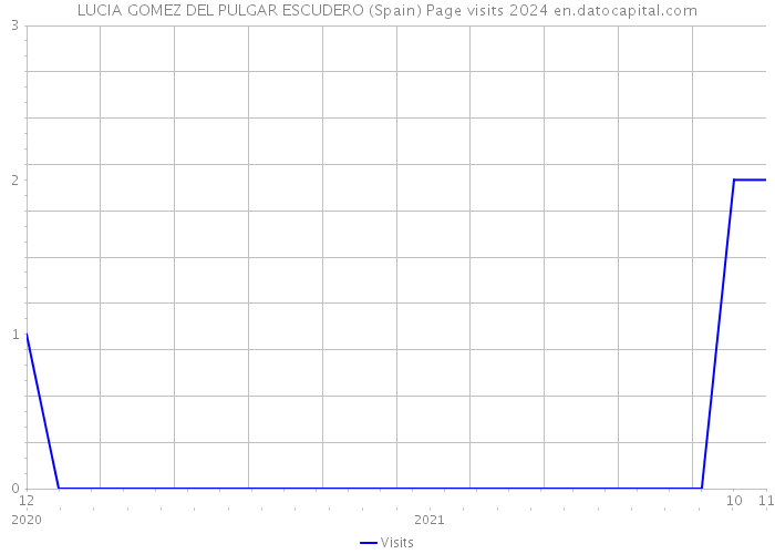 LUCIA GOMEZ DEL PULGAR ESCUDERO (Spain) Page visits 2024 