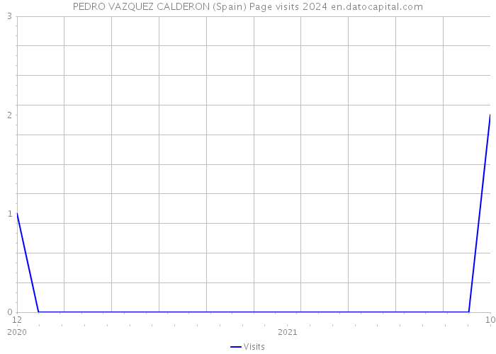 PEDRO VAZQUEZ CALDERON (Spain) Page visits 2024 