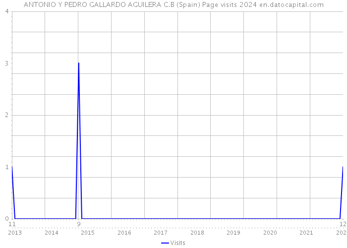 ANTONIO Y PEDRO GALLARDO AGUILERA C.B (Spain) Page visits 2024 