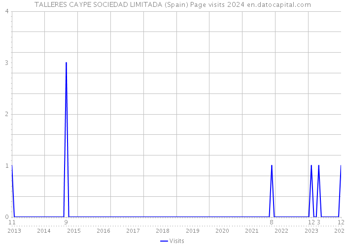 TALLERES CAYPE SOCIEDAD LIMITADA (Spain) Page visits 2024 