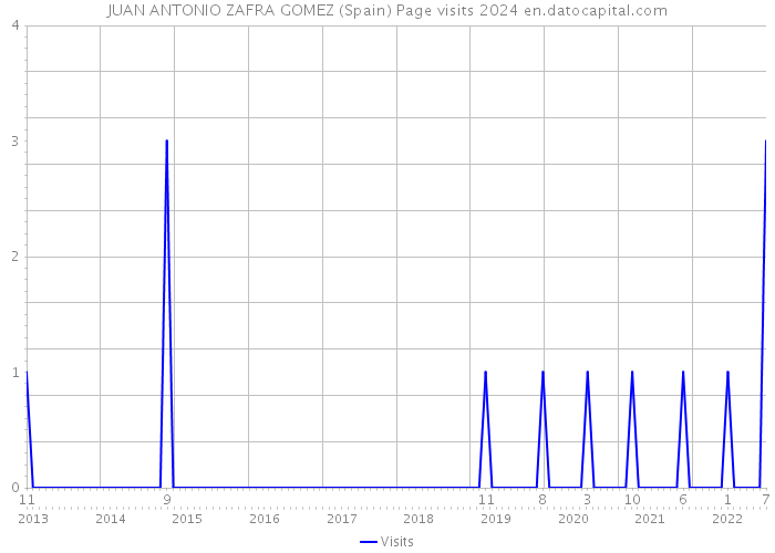 JUAN ANTONIO ZAFRA GOMEZ (Spain) Page visits 2024 