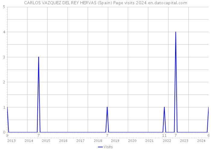 CARLOS VAZQUEZ DEL REY HERVAS (Spain) Page visits 2024 