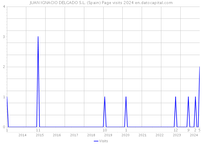 JUAN IGNACIO DELGADO S.L. (Spain) Page visits 2024 