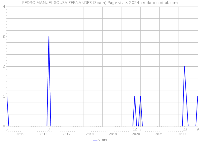 PEDRO MANUEL SOUSA FERNANDES (Spain) Page visits 2024 