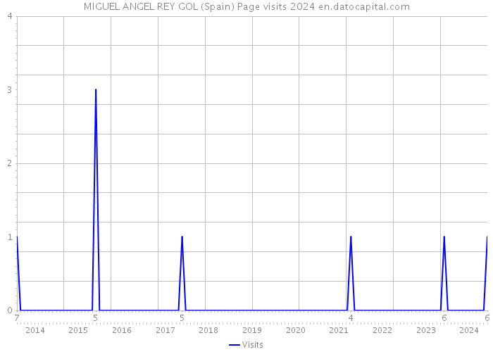 MIGUEL ANGEL REY GOL (Spain) Page visits 2024 