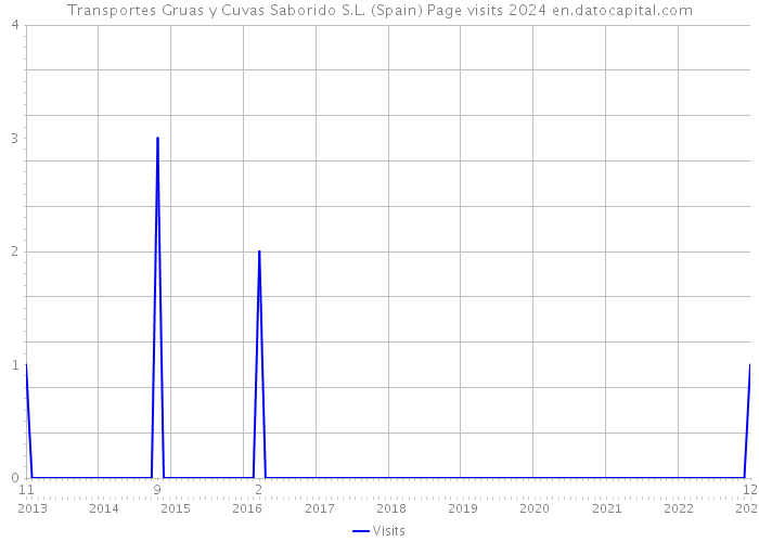 Transportes Gruas y Cuvas Saborido S.L. (Spain) Page visits 2024 