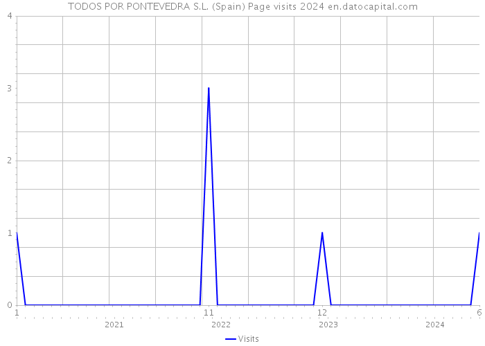 TODOS POR PONTEVEDRA S.L. (Spain) Page visits 2024 