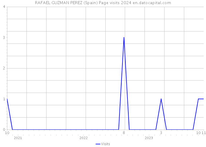 RAFAEL GUZMAN PEREZ (Spain) Page visits 2024 