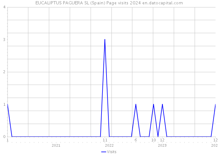 EUCALIPTUS PAGUERA SL (Spain) Page visits 2024 