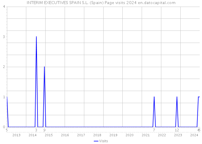 INTERIM EXECUTIVES SPAIN S.L. (Spain) Page visits 2024 