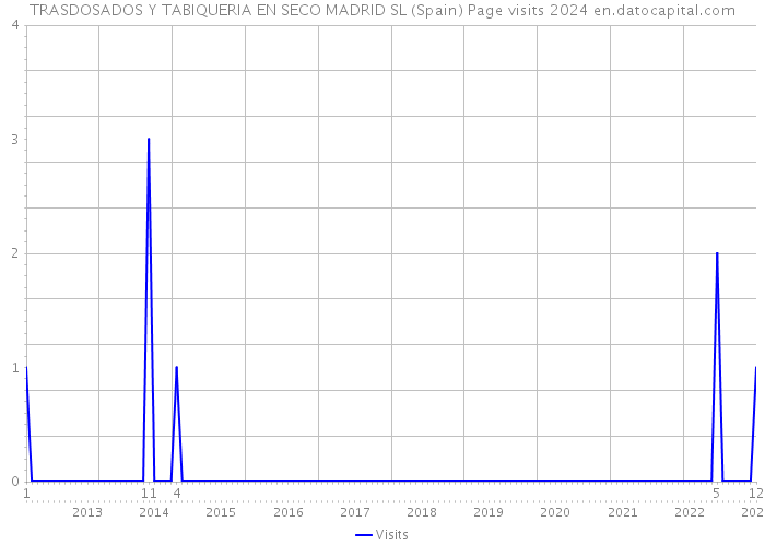 TRASDOSADOS Y TABIQUERIA EN SECO MADRID SL (Spain) Page visits 2024 