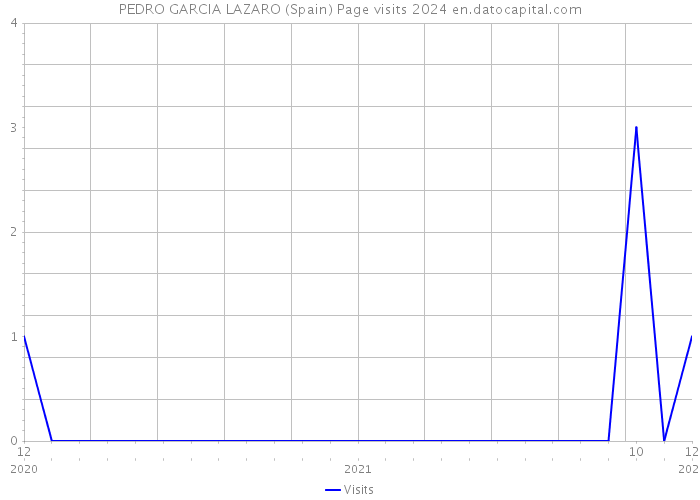 PEDRO GARCIA LAZARO (Spain) Page visits 2024 