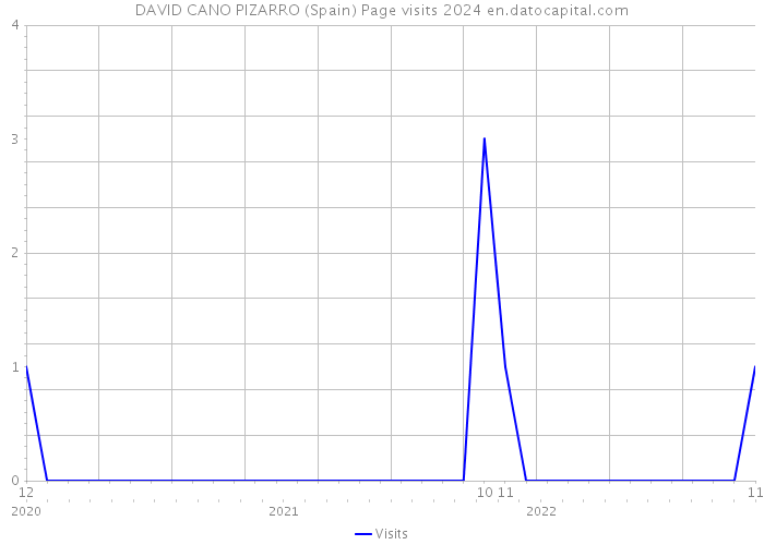 DAVID CANO PIZARRO (Spain) Page visits 2024 