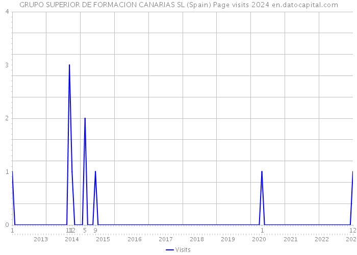GRUPO SUPERIOR DE FORMACION CANARIAS SL (Spain) Page visits 2024 