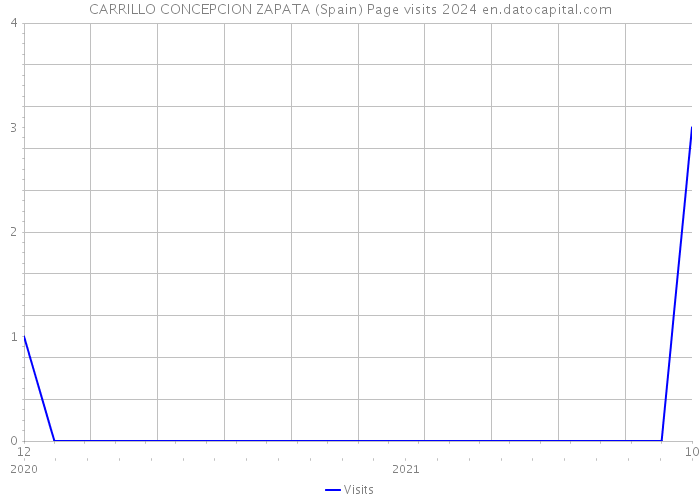 CARRILLO CONCEPCION ZAPATA (Spain) Page visits 2024 