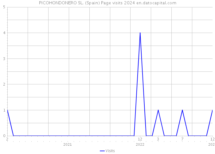 PICOHONDONERO SL. (Spain) Page visits 2024 