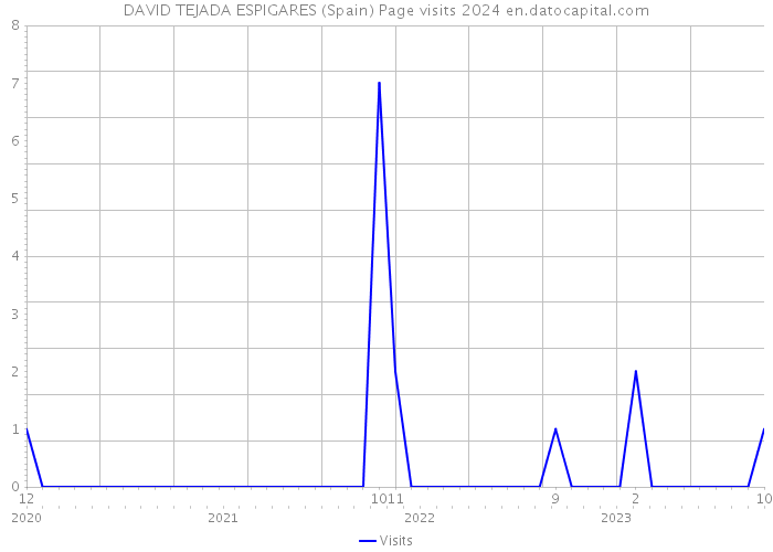 DAVID TEJADA ESPIGARES (Spain) Page visits 2024 