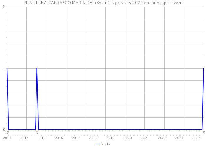 PILAR LUNA CARRASCO MARIA DEL (Spain) Page visits 2024 