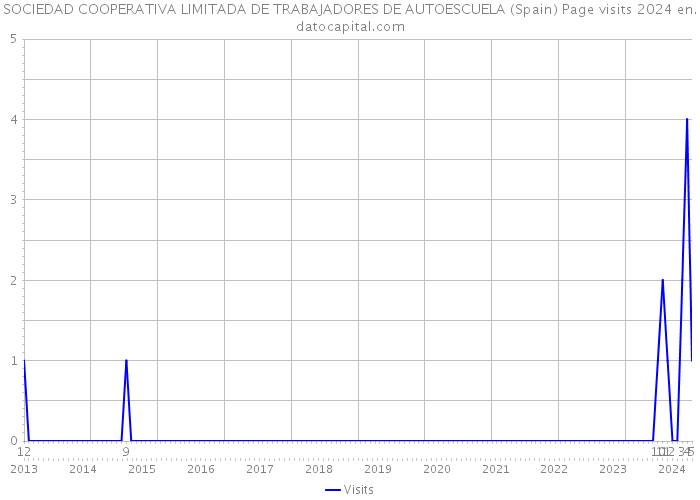 SOCIEDAD COOPERATIVA LIMITADA DE TRABAJADORES DE AUTOESCUELA (Spain) Page visits 2024 