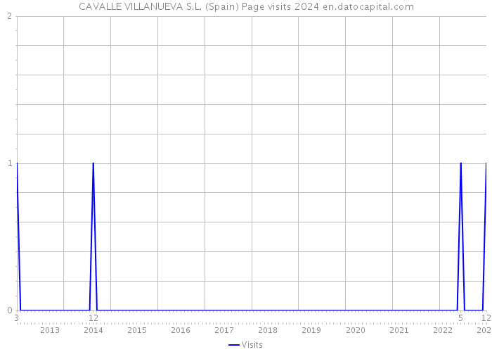 CAVALLE VILLANUEVA S.L. (Spain) Page visits 2024 
