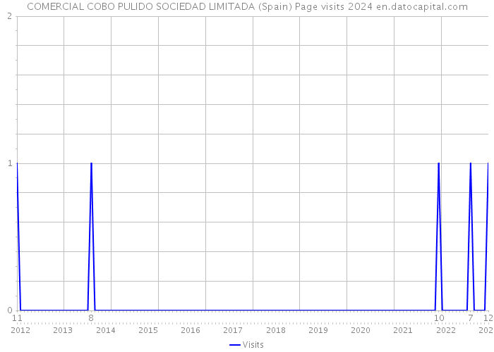 COMERCIAL COBO PULIDO SOCIEDAD LIMITADA (Spain) Page visits 2024 