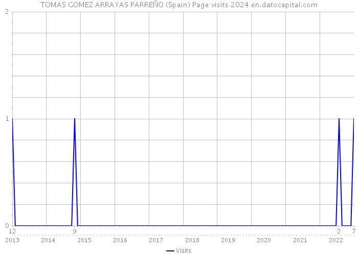 TOMAS GOMEZ ARRAYAS PARREÑO (Spain) Page visits 2024 