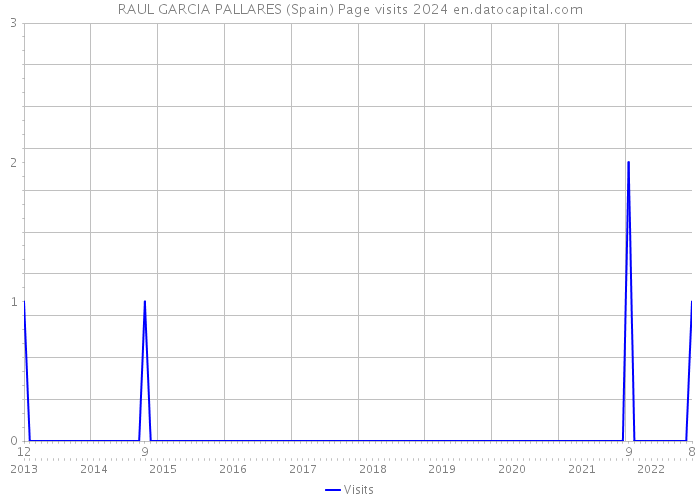 RAUL GARCIA PALLARES (Spain) Page visits 2024 
