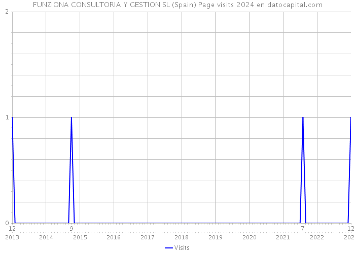 FUNZIONA CONSULTORIA Y GESTION SL (Spain) Page visits 2024 