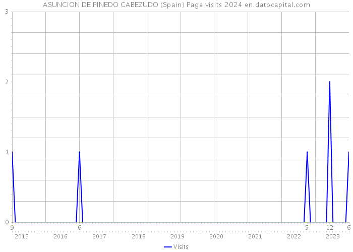 ASUNCION DE PINEDO CABEZUDO (Spain) Page visits 2024 
