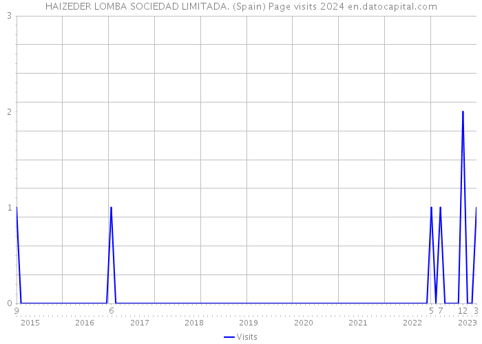 HAIZEDER LOMBA SOCIEDAD LIMITADA. (Spain) Page visits 2024 