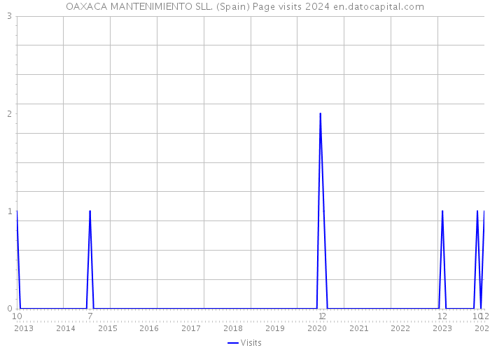 OAXACA MANTENIMIENTO SLL. (Spain) Page visits 2024 