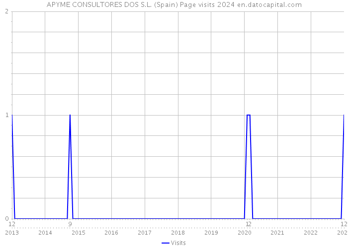 APYME CONSULTORES DOS S.L. (Spain) Page visits 2024 