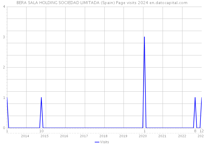 BERA SALA HOLDING SOCIEDAD LIMITADA (Spain) Page visits 2024 