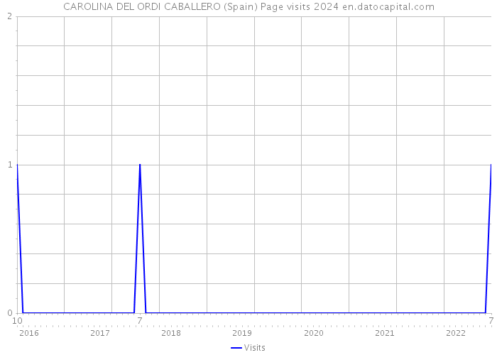 CAROLINA DEL ORDI CABALLERO (Spain) Page visits 2024 